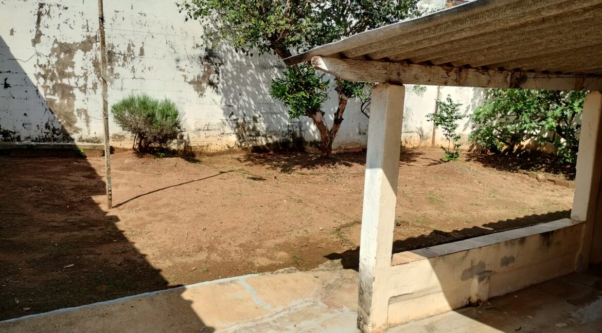 IMG_20230323_143525426_HDR